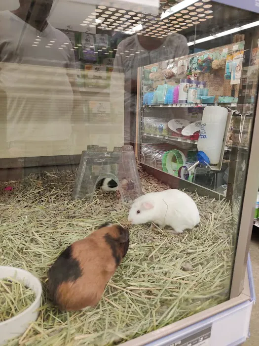 Petco Picture 4