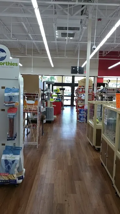 Pet Supermarket Picture 2