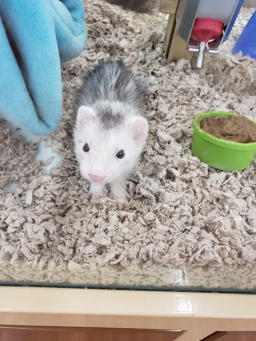 Pet Supermarket Picture 1
