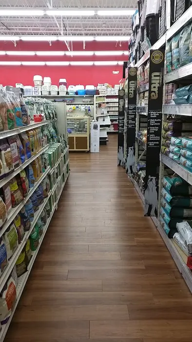 Pet Supermarket Picture 6