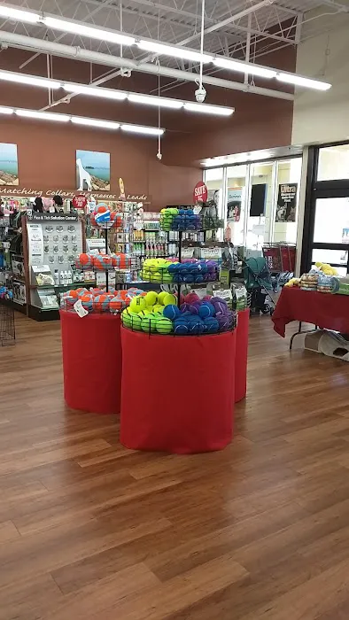 Pet Supermarket Picture 5