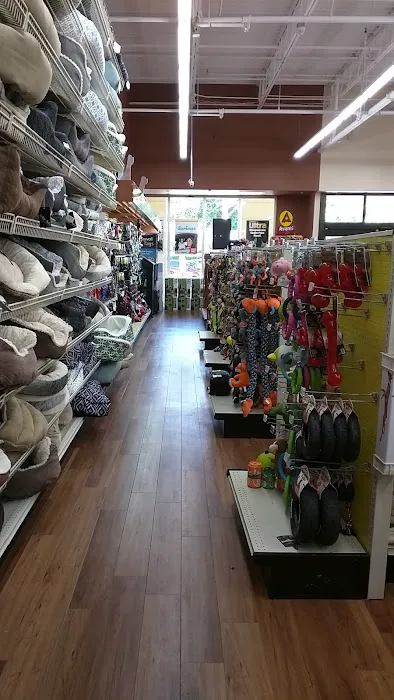 Pet Supermarket Picture 4