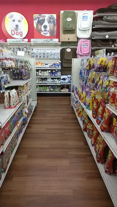Pet Supermarket Picture 7