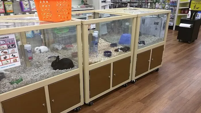 Pet Supermarket Picture 9