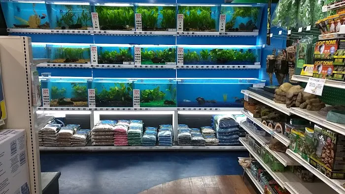 Pet Supermarket Picture 8