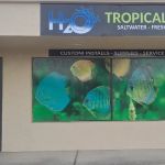 H2O Tropical Fish