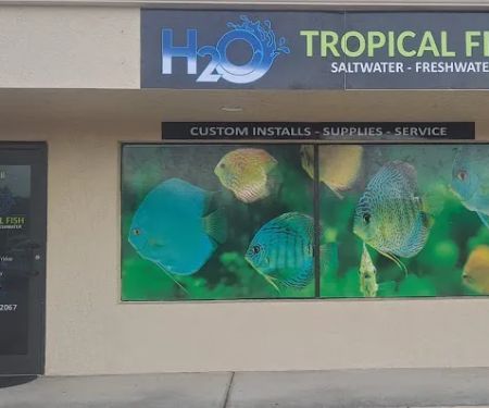 H2O Tropical Fish