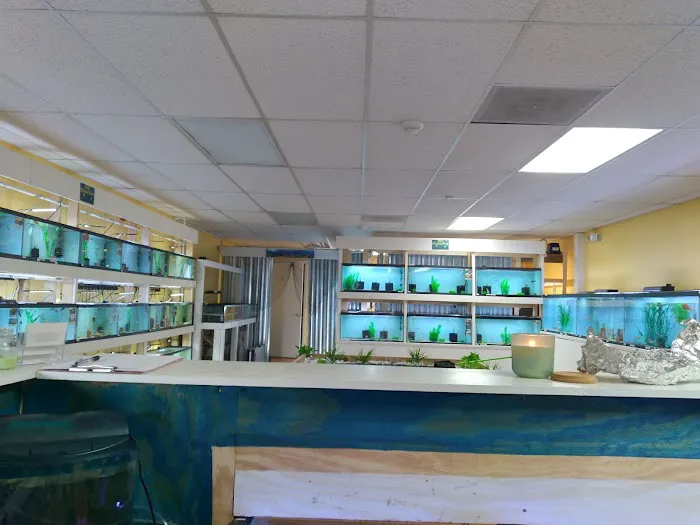 H2O Tropical Fish Picture 2