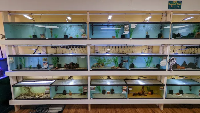 H2O Tropical Fish Picture 8