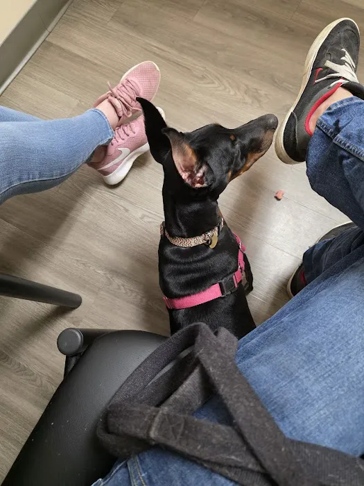 Mansfield Veterinary Hospital Picture 1