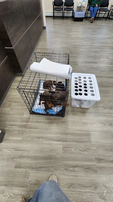 Mansfield Veterinary Hospital Picture 3