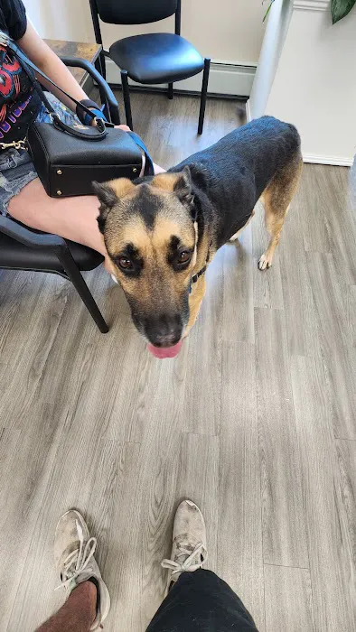 Mansfield Veterinary Hospital Picture 4