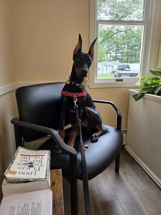 Mansfield Veterinary Hospital Picture 7