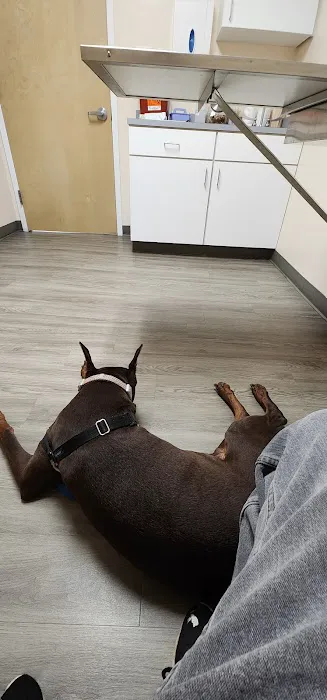 Mansfield Veterinary Hospital Picture 6