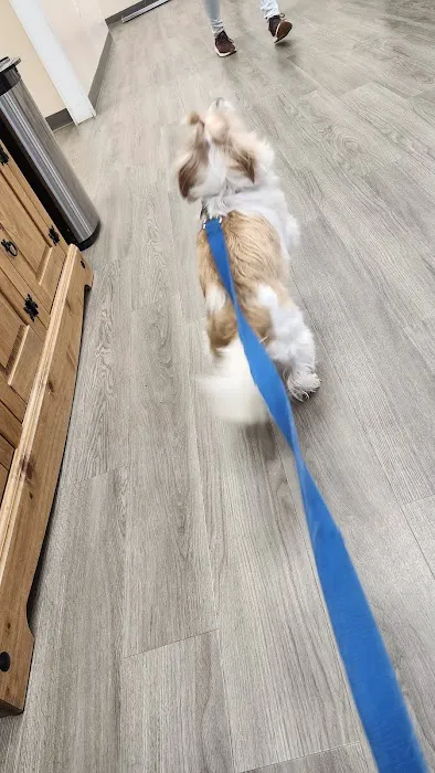 Mansfield Veterinary Hospital Picture 5