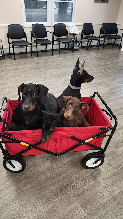 Mansfield Veterinary Hospital Picture 9