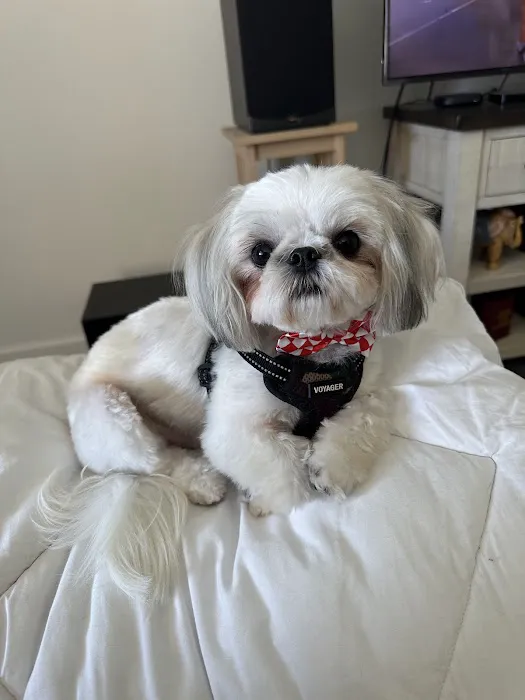 Pet Supplies Plus North Port Picture 3