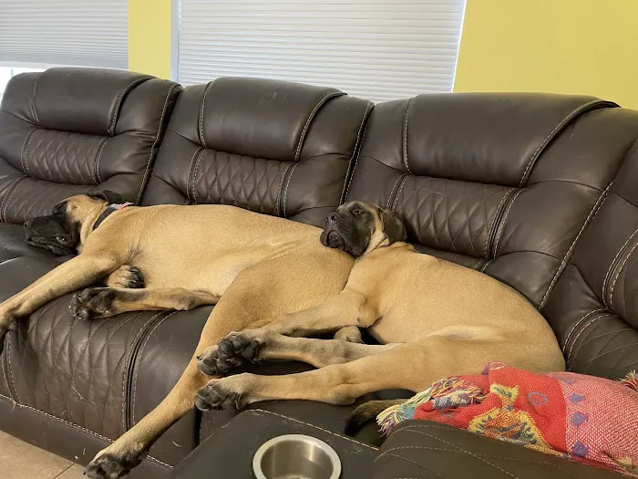 Pet Supplies Plus North Port Picture 6