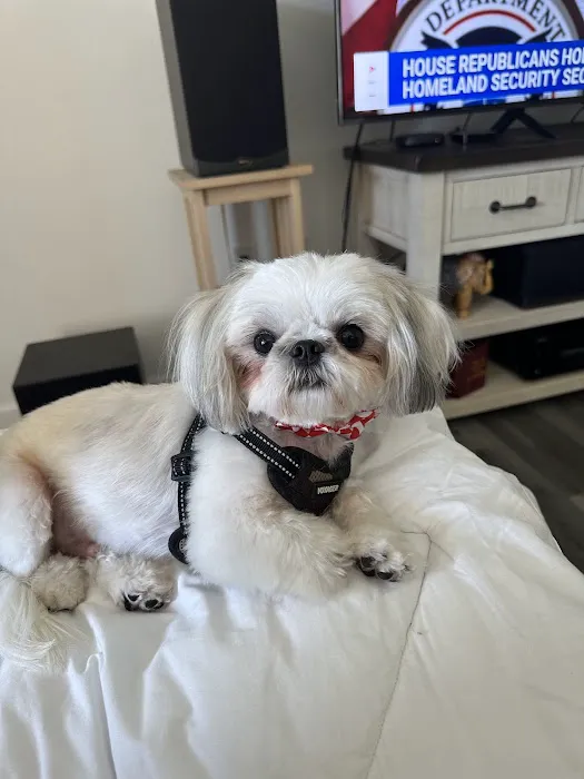 Pet Supplies Plus North Port Picture 5