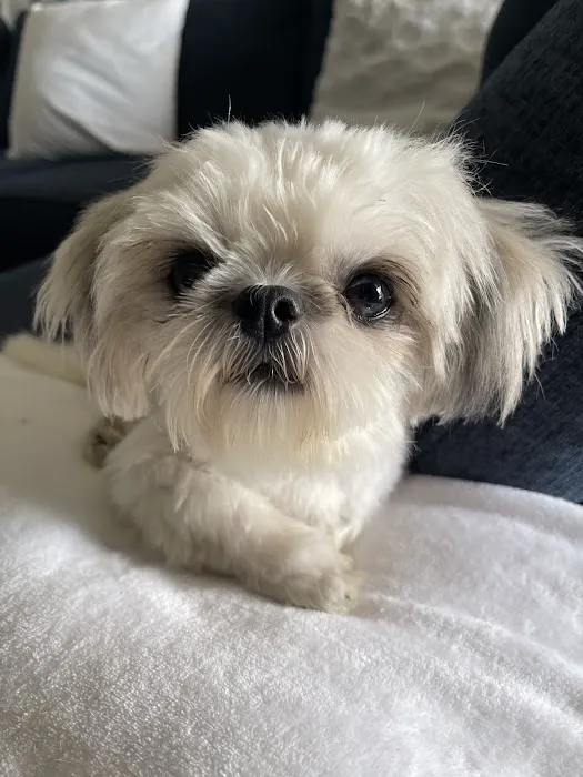 Pet Supplies Plus North Port Picture 9