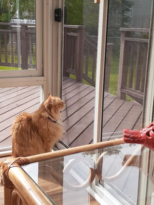 Paws 'N Claws Veterinary Clinic LLC Picture 2