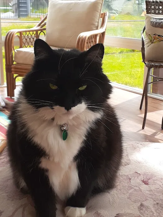 Paws 'N Claws Veterinary Clinic LLC Picture 6