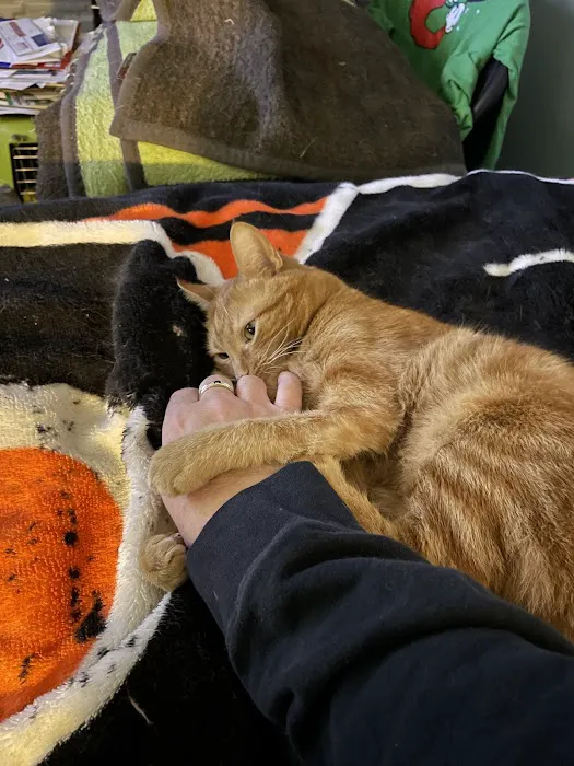 Paws 'N Claws Veterinary Clinic LLC Picture 10