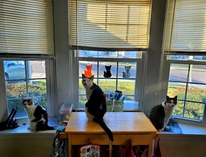 Paws 'N Claws Veterinary Clinic LLC Picture 8