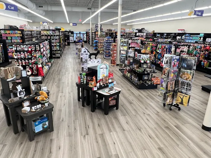 Pet Supermarket Picture 5