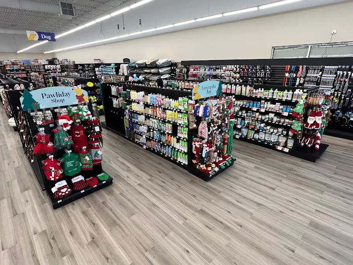 Pet Supermarket Picture 7