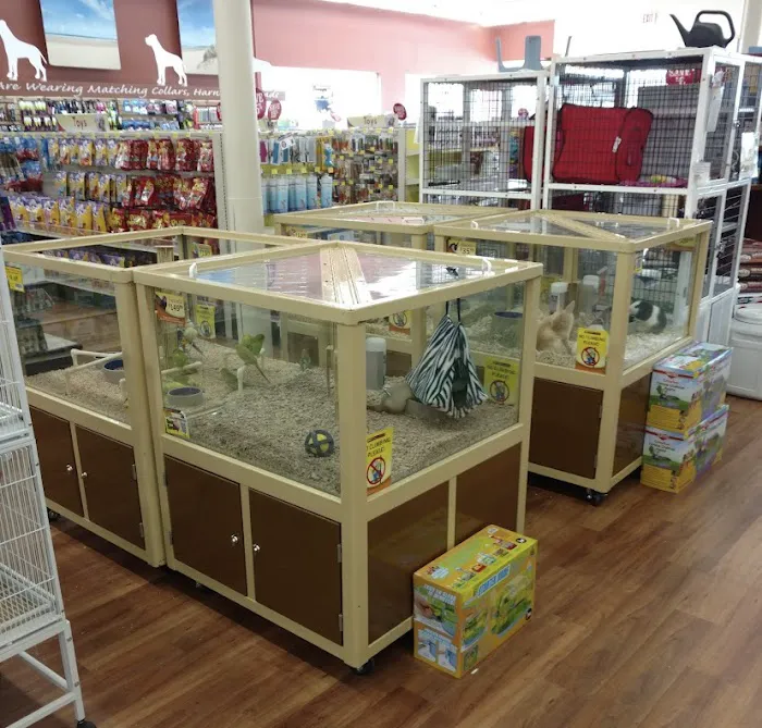 Pet Supermarket Picture 8