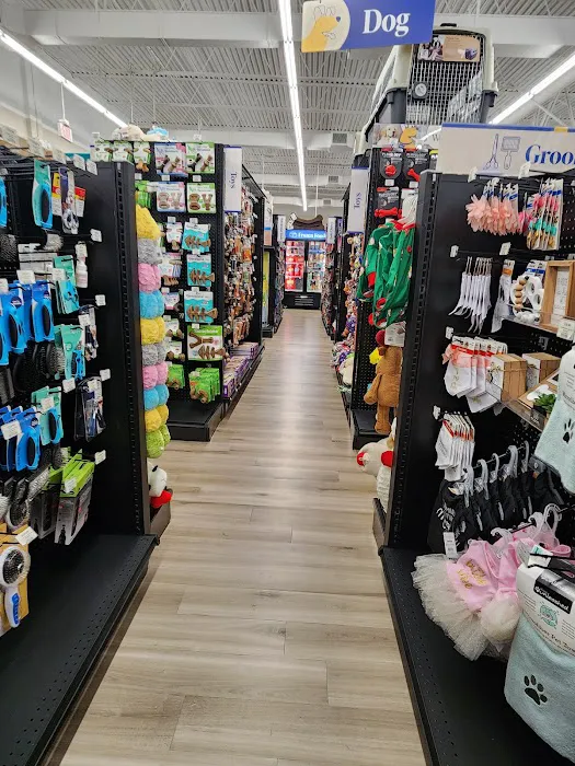 Pet Supermarket Picture 3