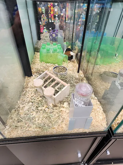 Pet Supermarket Picture 5