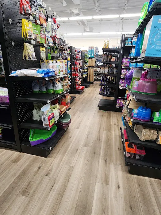 Pet Supermarket Picture 7