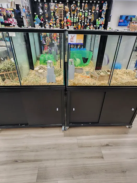 Pet Supermarket Picture 10