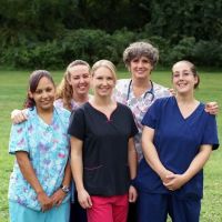 Columbus Central Veterinary Hospital ico