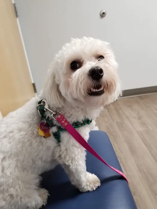 Columbus Central Veterinary Hospital Picture 3