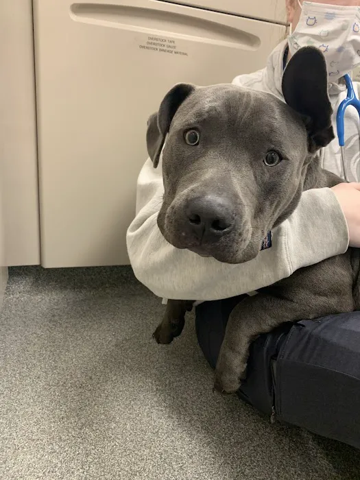 Columbus Central Veterinary Hospital Picture 4