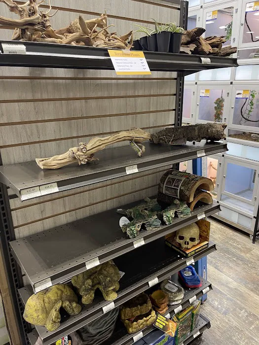 Pet Supermarket Picture 6