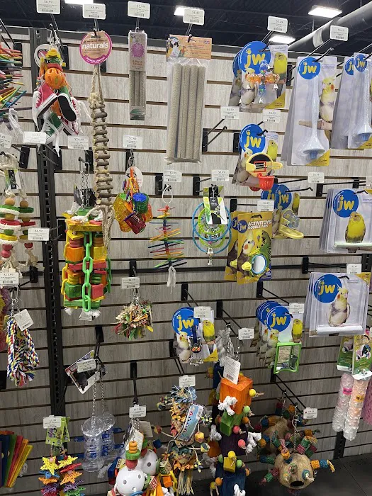 Pet Supermarket Picture 5