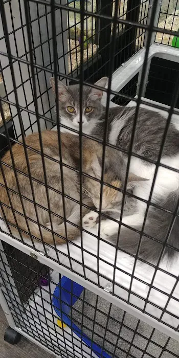 Pet Supermarket Picture 7