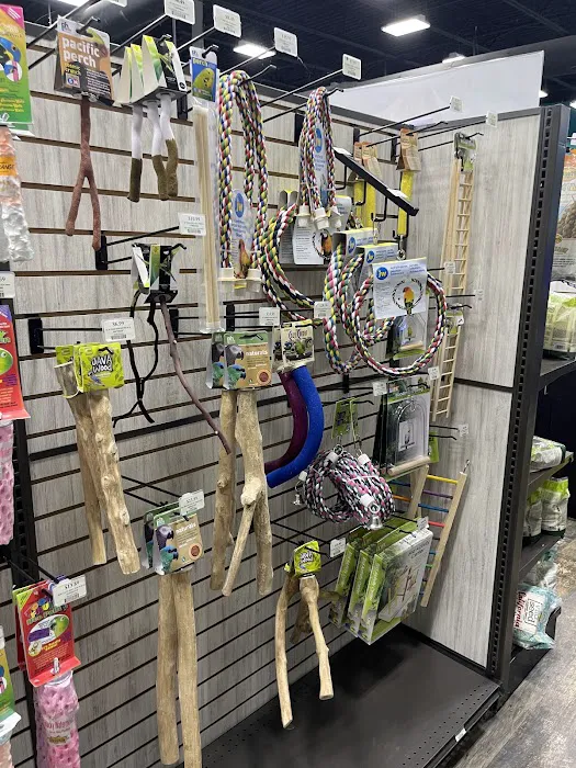 Pet Supermarket Picture 8