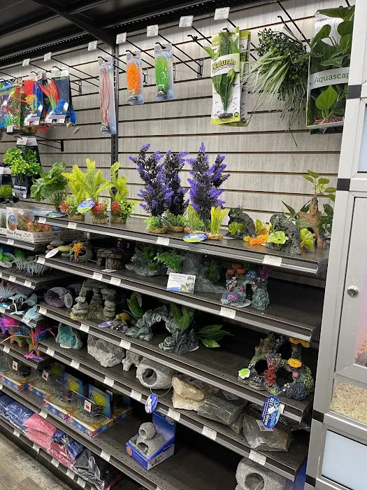 Pet Supermarket Picture 10