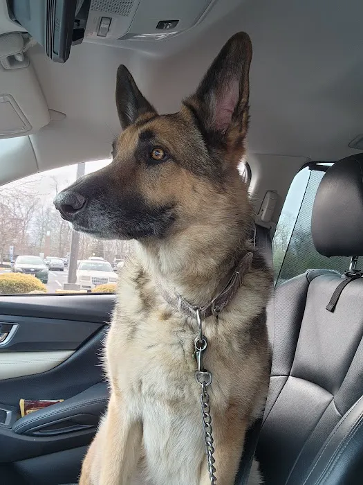 Mills Veterinary Care Picture 6