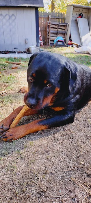 Mills Veterinary Care Picture 8