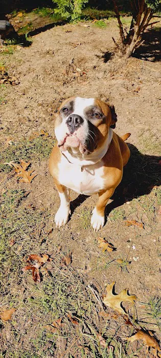 Mills Veterinary Care Picture 7