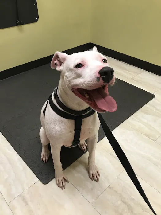 Mills Veterinary Care Picture 10