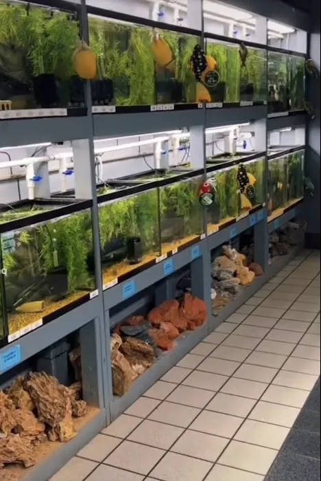 Natural Environment Aquatix Picture 1
