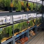 Natural Environment Aquatix