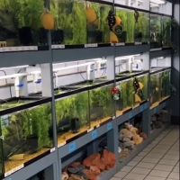 Natural Environment Aquatix ico